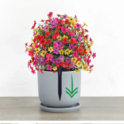 🔥 Last Day Sale Price | Turn Your Garden Into a Colorful Paradise