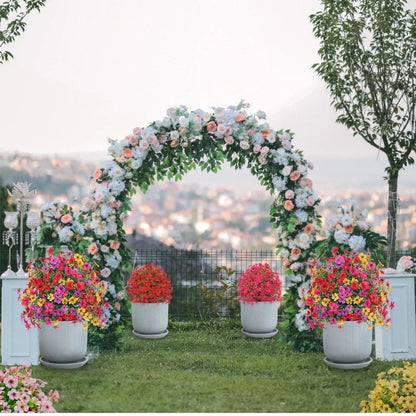 🔥 Last Day Sale Price | Turn Your Garden Into a Colorful Paradise